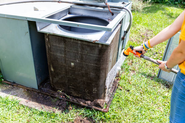 Best Air Vent Cleaning Services  in Hanapepe, HI