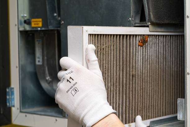 Best HVAC Maintenance and Cleaning  in Hanapepe, HI